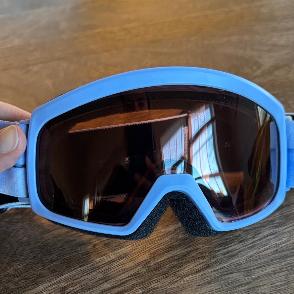 Periwinkle Ski Goggles